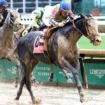 Horse Racing Nation Overview