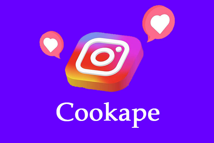 Demystifying Cookape: Boosting Instagram Growth Without Surveys or Verification