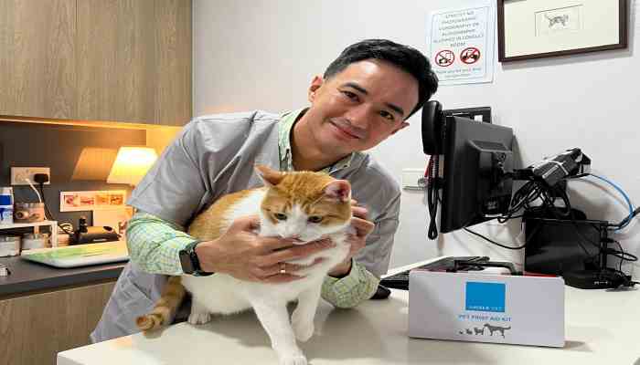 Veterinary Singapore: How Often Should You Visit Your Provider?